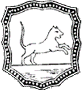 Рисунки из интернета.