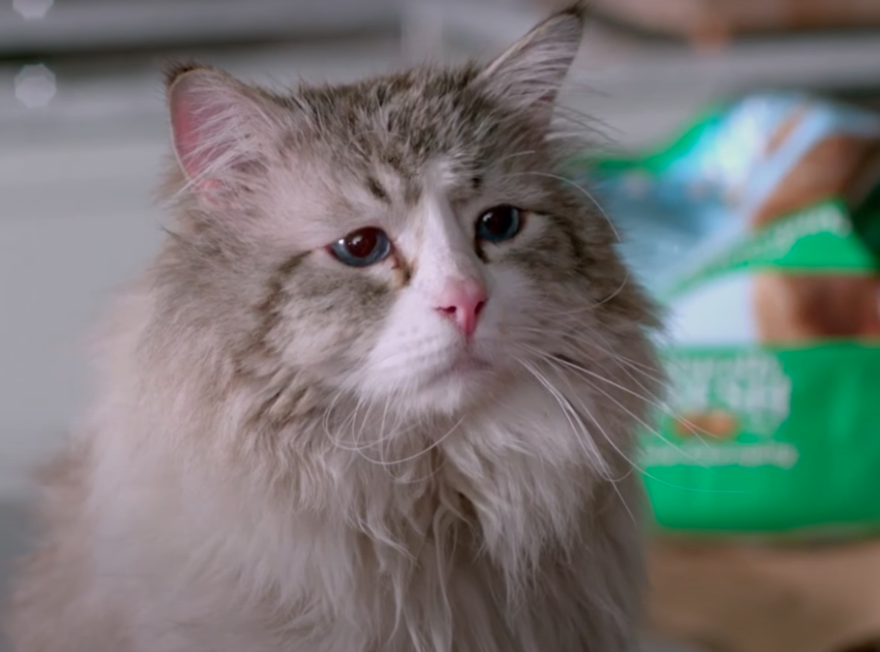 Скриншот из трейлера картины 