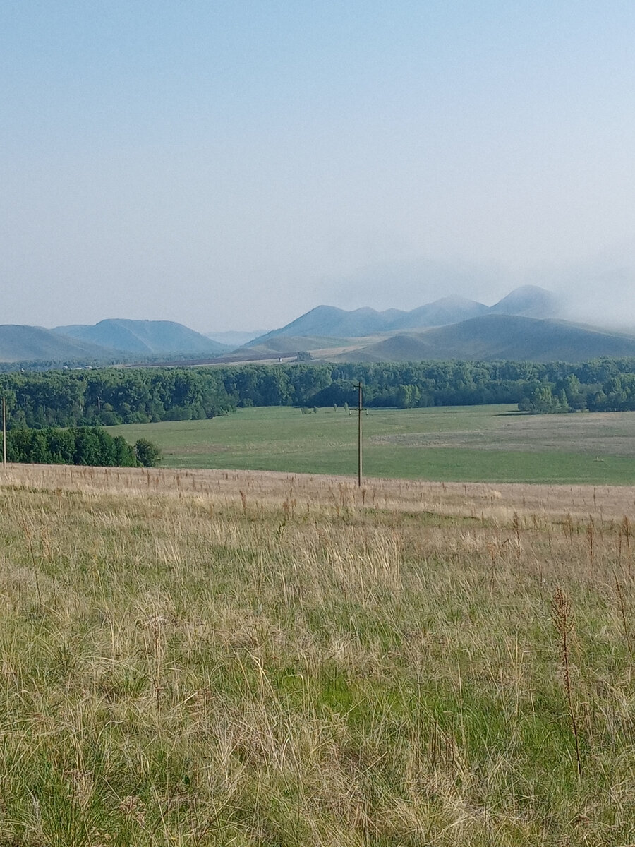 Вид с горы Крестовой на восток. 