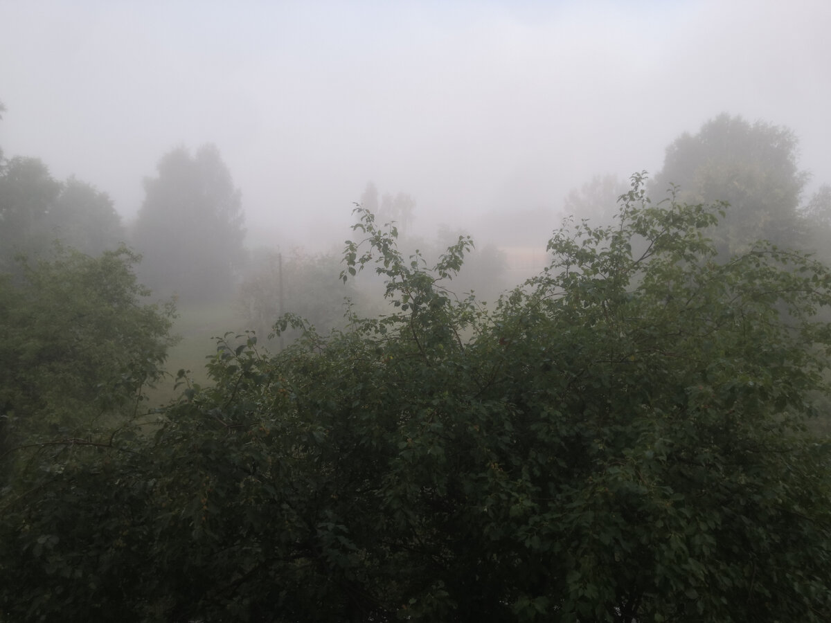 Начало августа, часов 7 утра. 