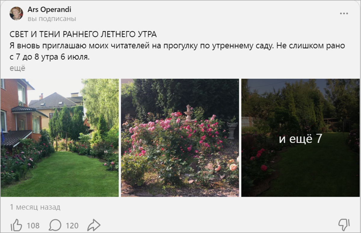 Татьяна приглашает на прогулку по саду, созданному своими руками. Все ее достижения - на виду! Источник: dzen.ru/id/62052bd21bd8f320c3fb613e
