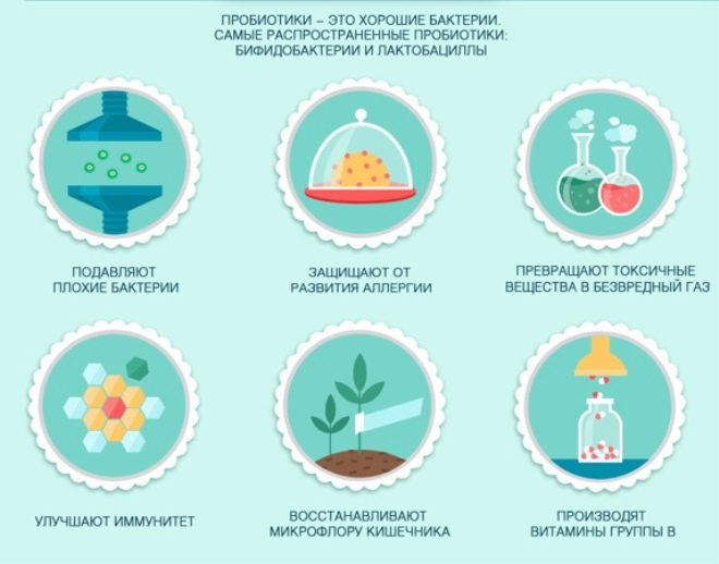 Аллергия пребиотики. Пробиотики полезные бактерии. Хорошие и плохие бактерии. Пребиотики и пробиотики для кишечника. Полезные бактерии для кишечника детям.