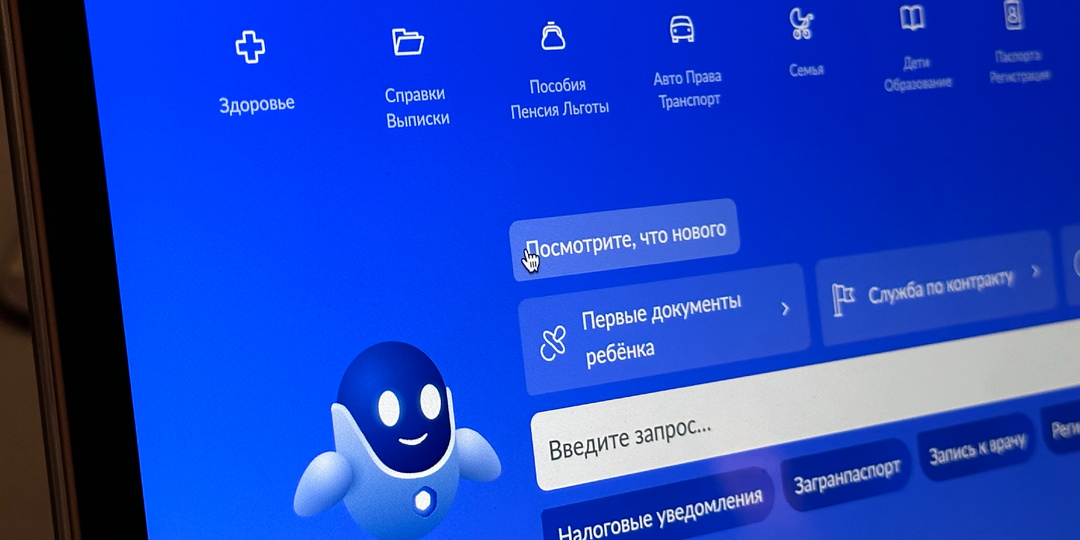 На что мы соглашаемся, пользуясь Госуслугами?