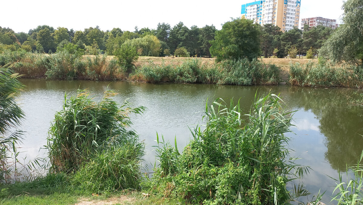 Один из Карасунов. Фото автора