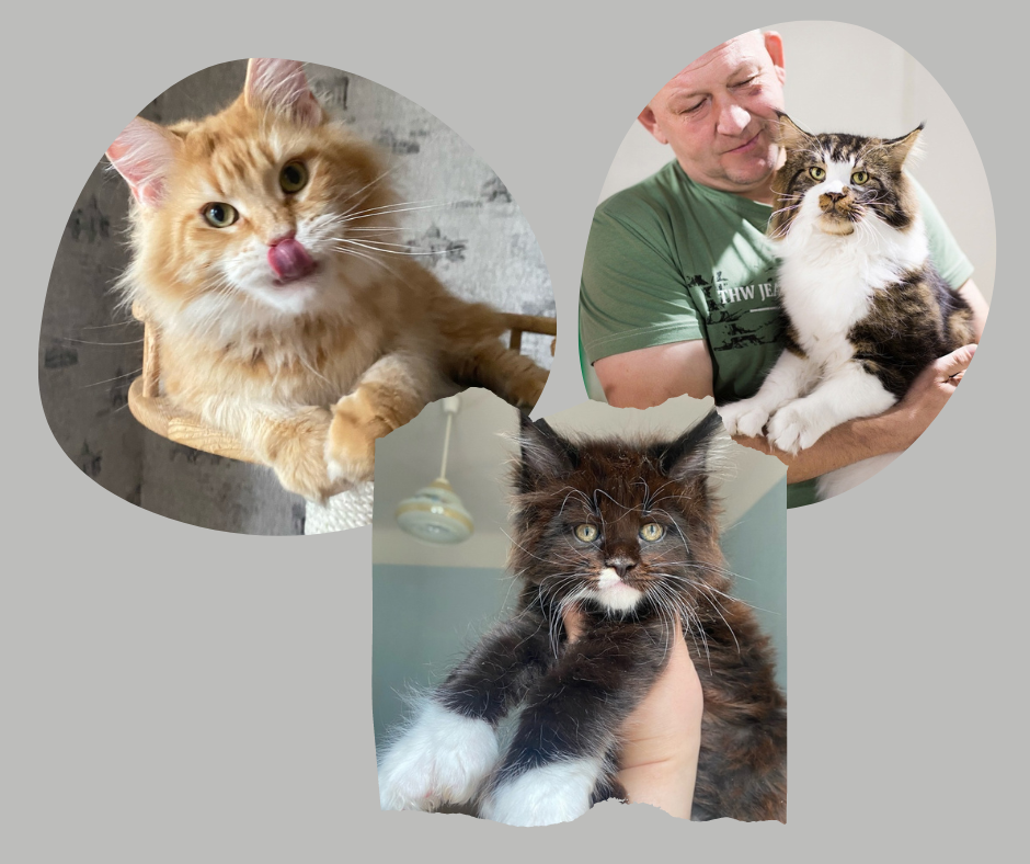 Фото питомника Apotropey