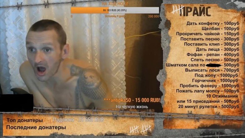     Мопс Дядя Пес на стриме. Источник: YouTube