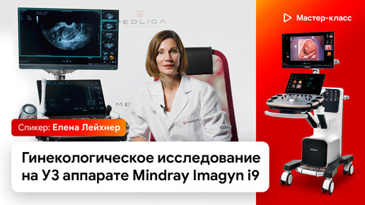 Гинекологическое исследование на УЗИ аппарате Mindray Imagyn i9