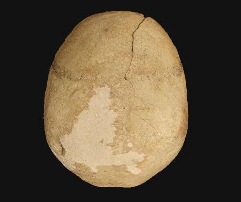 «Чаша» из черепа МА-220.