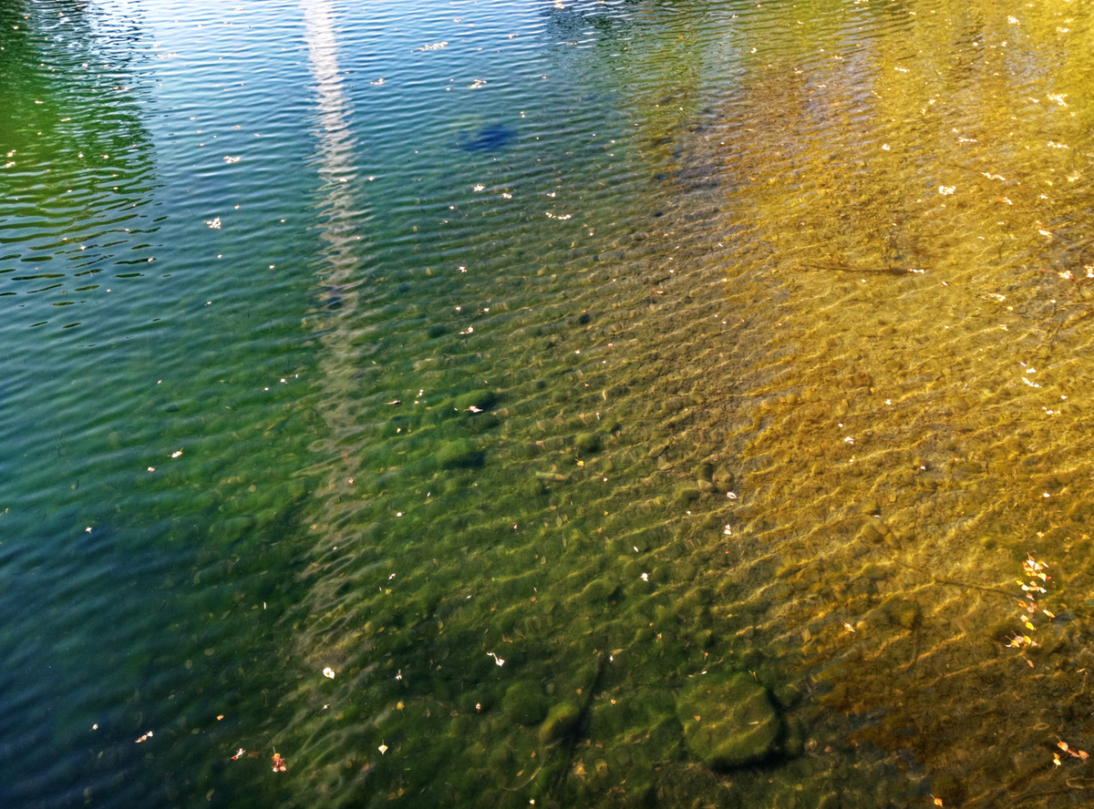Рябь на прозрачной и цветной воде. Природа сибири 2023⁠⁠. ПКИО Абакана