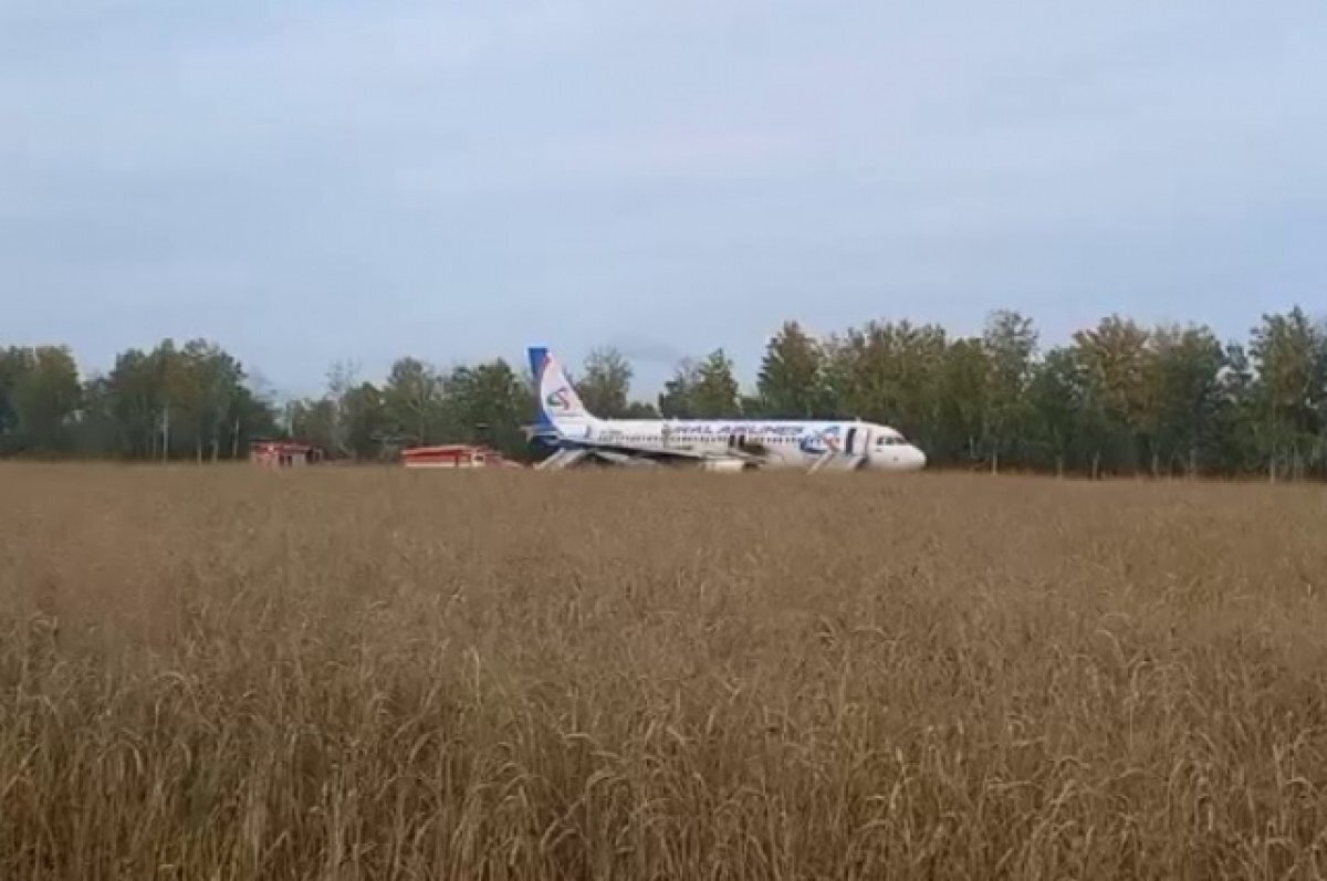    Озвучена возможная причина экстренной посадки самолета под Новосибирском