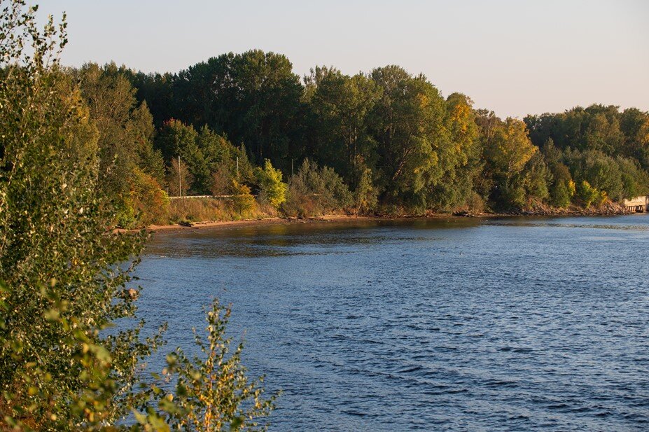    Автор фото: Сергей Ермохин