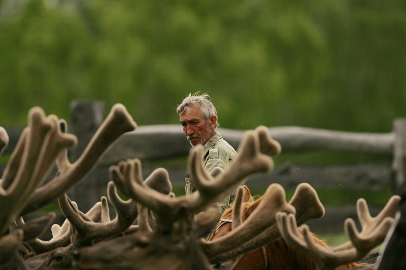 Автор фото Добрый Человек©