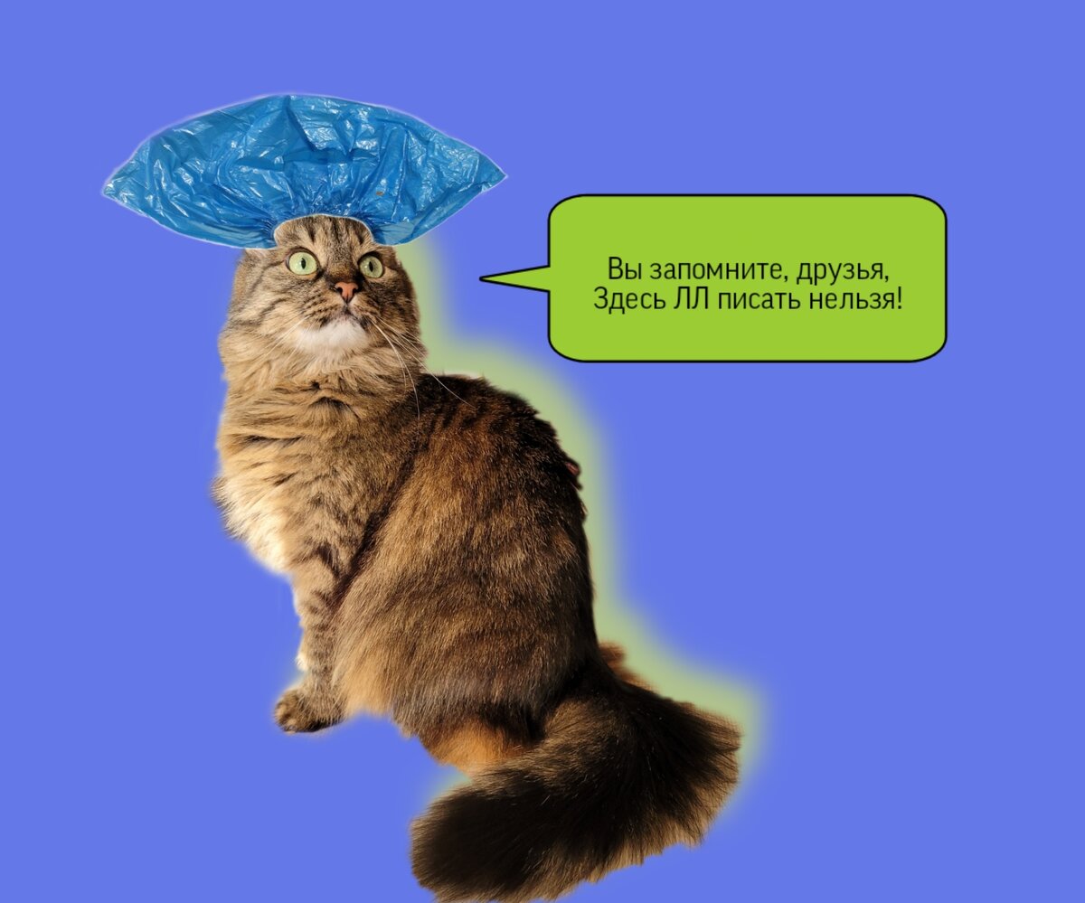 В этих 11 словах нет удвоенной согласной, но вы упрямо её пишете! Или ...