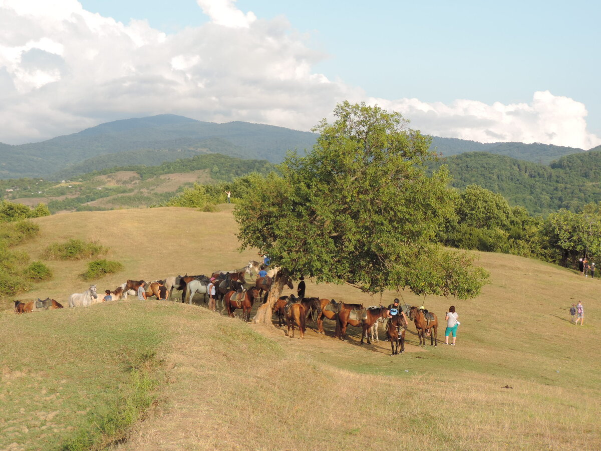 Конная прогулка. Привал. Наслаждаемся видами на море, горы.
