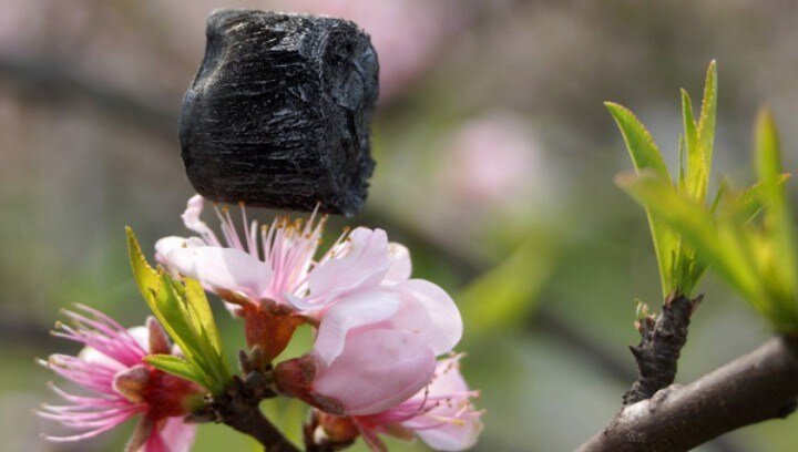 Графеновый аэрогель