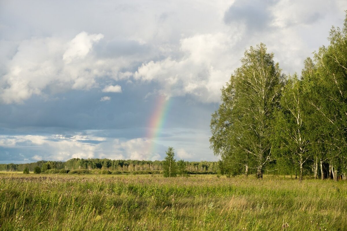 Дина Абубакирова ©