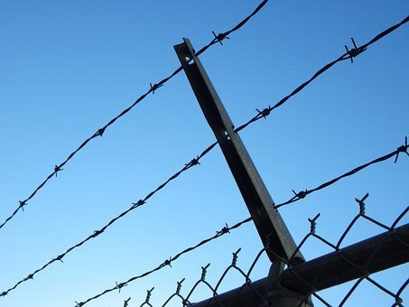Фото: pixabay.com 