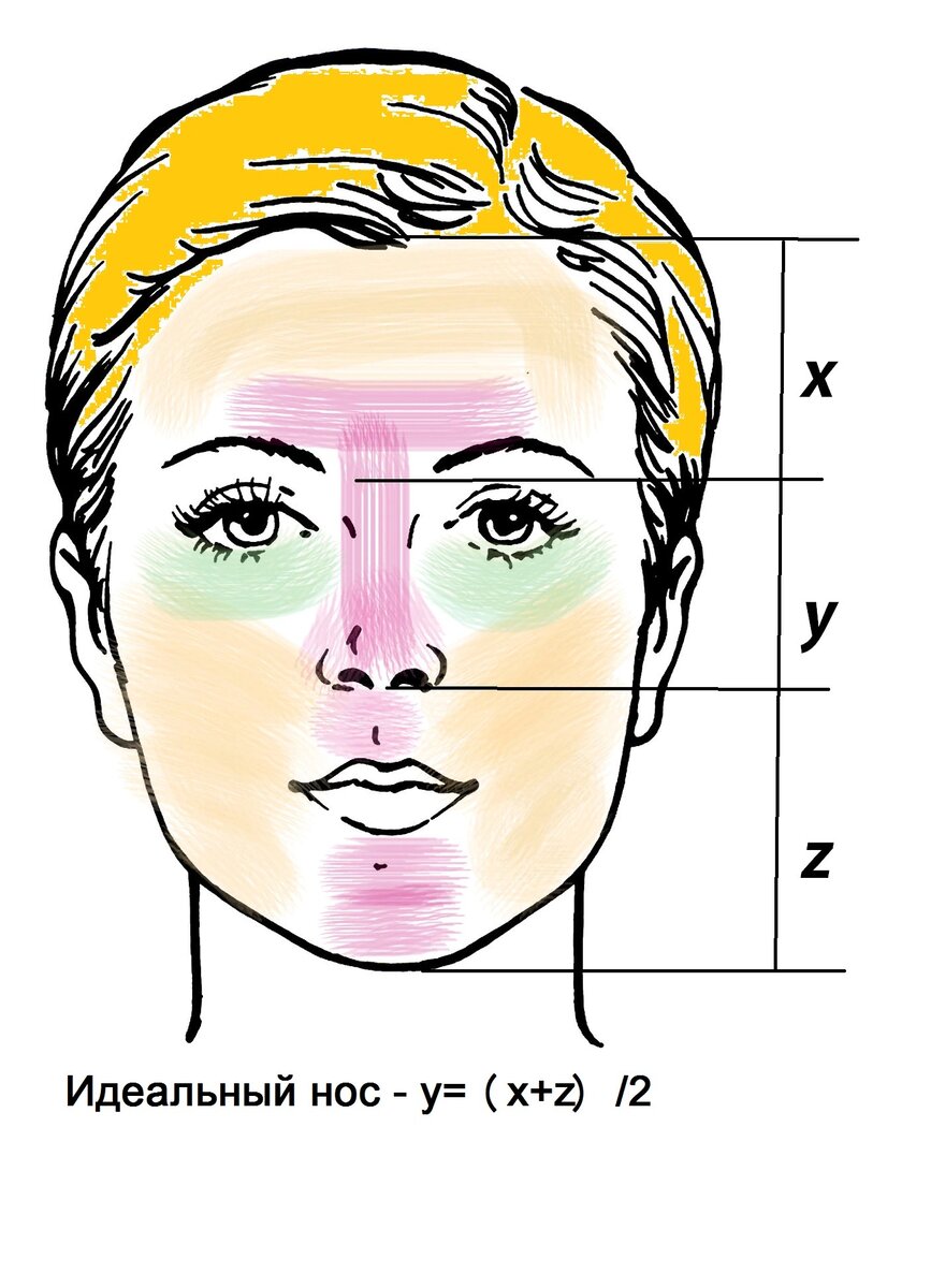 Какие мы?Характер человека по форме носа | Хогак | Дзен