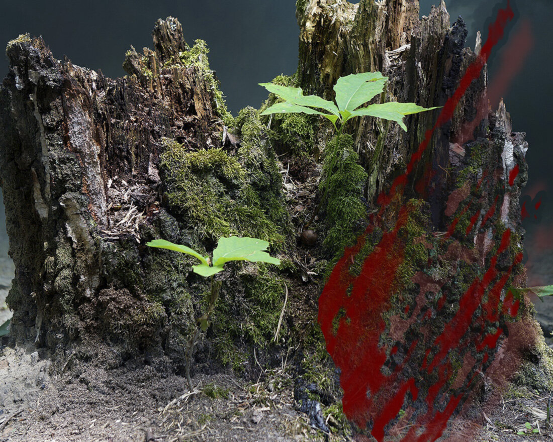 1. Изображение Brita Seifert с сайта Pixabay 