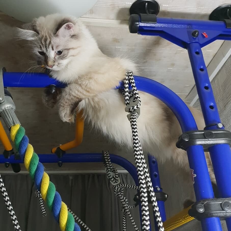 Любимое место Ксю