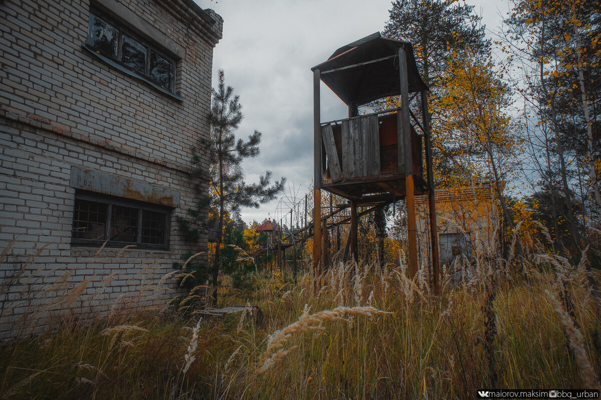 Вернулся спустя два года в военный городок. Полная разруха, украли даже «Ракеты С-25 Беркут»!