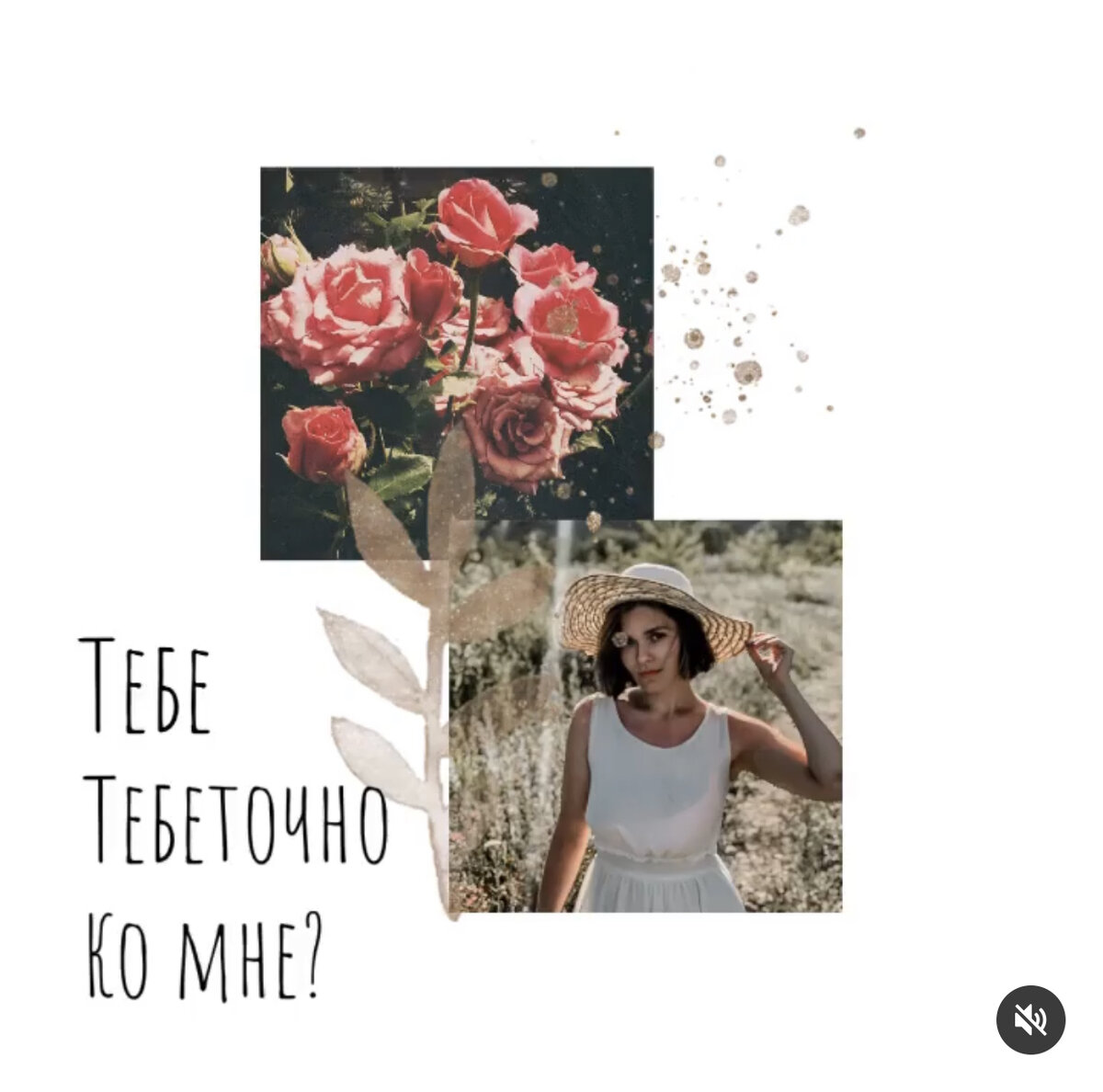 https://www.instagram.com/p/B6CyhRvHr3x/?igshid=1m7kt932bbrpd