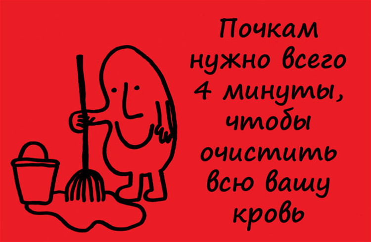 Смешные факты. Интересные факты в картинках. Забавные факты. Факты картинка.