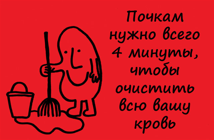 Есть интересный факт. Смешные факты. Интересные факты в картинках. Забавные факты. Факты картинка.