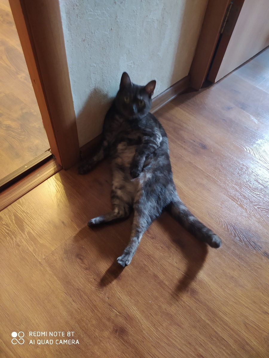 жизнь удалась.