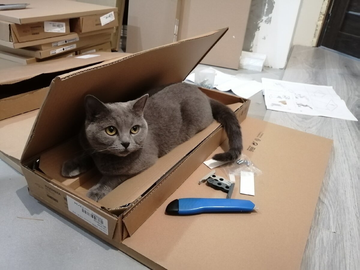 Моя коробка