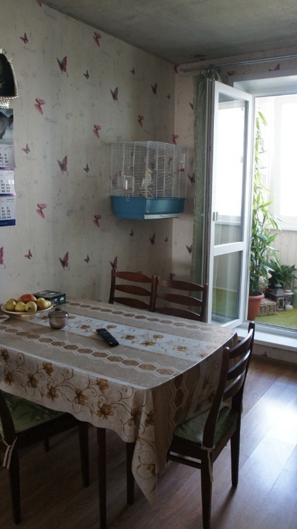 На балконе устроили сад