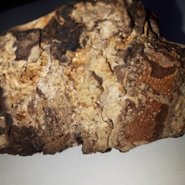 Фотография моя