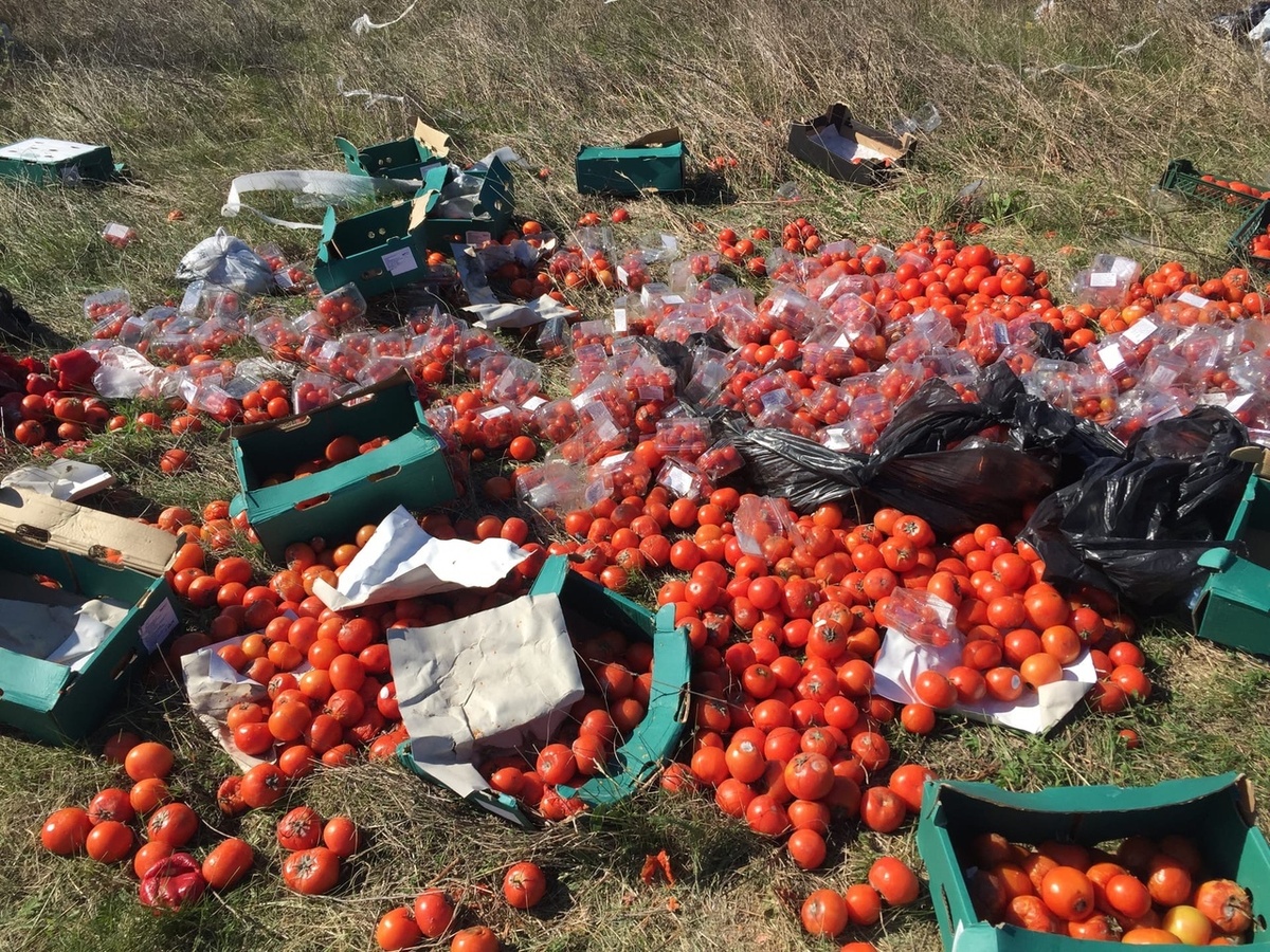В Новороссийске проводится проверка по факту обнаружения в окрестностях города несанкционированной свалки продуктов питания. 
Первым об этом в своем аккаунте в социальных сетях сообщил житель города. Он случайно обнаружил горы выброшенных кем-то овощей и фруктов.

Специалисты управления городского хозяйства вместе с представителями правоохранительных органов выехали на место. Им предстоит выяснить, кто и по какой причине выбросил продукты. Также к нарушителю будут применены законные меры наказания за организацию несанкционированной свалки.
