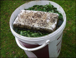 Иллюстрация для статьи используется по стандартной лицензии ©stroi-rasti.ru