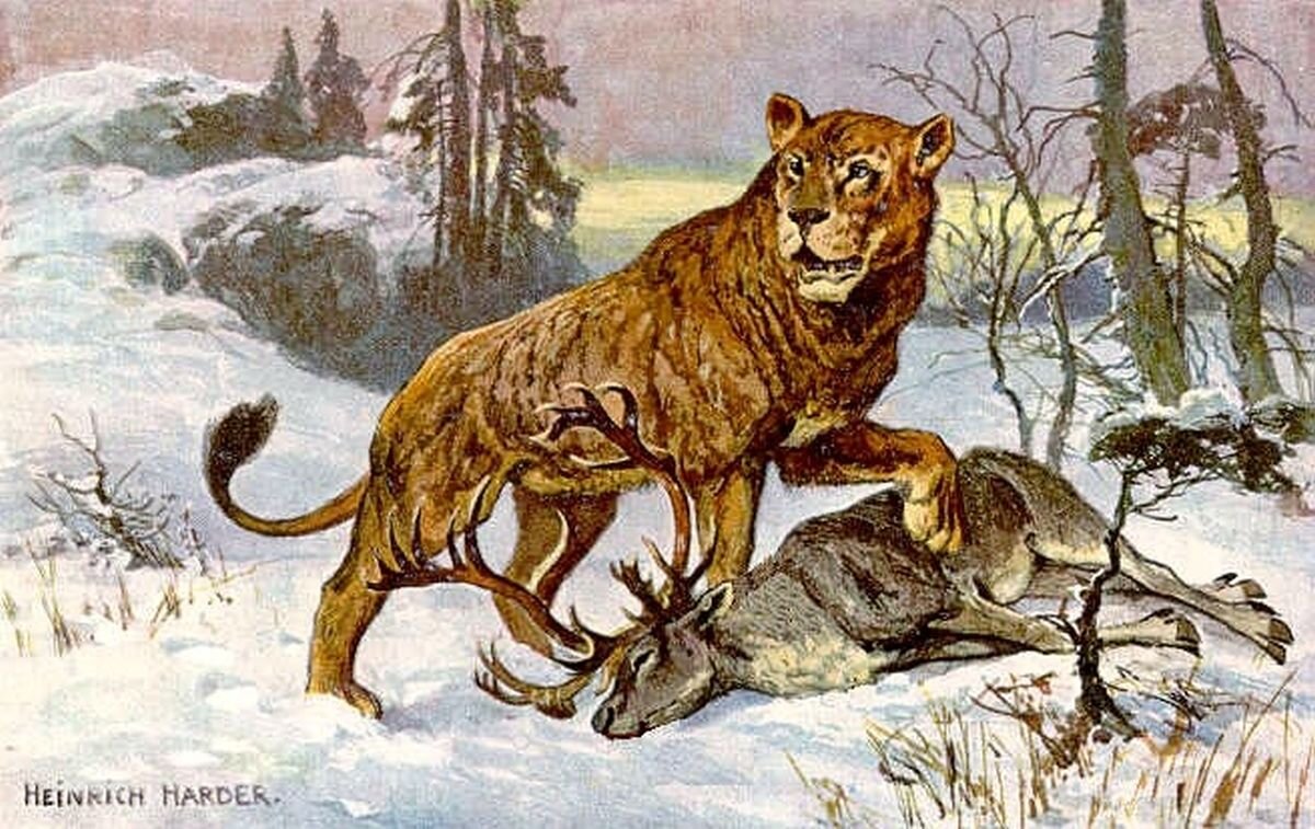 Пещерный лев, реконструкция