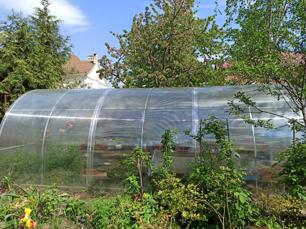 Моя теплица - вид сбоку