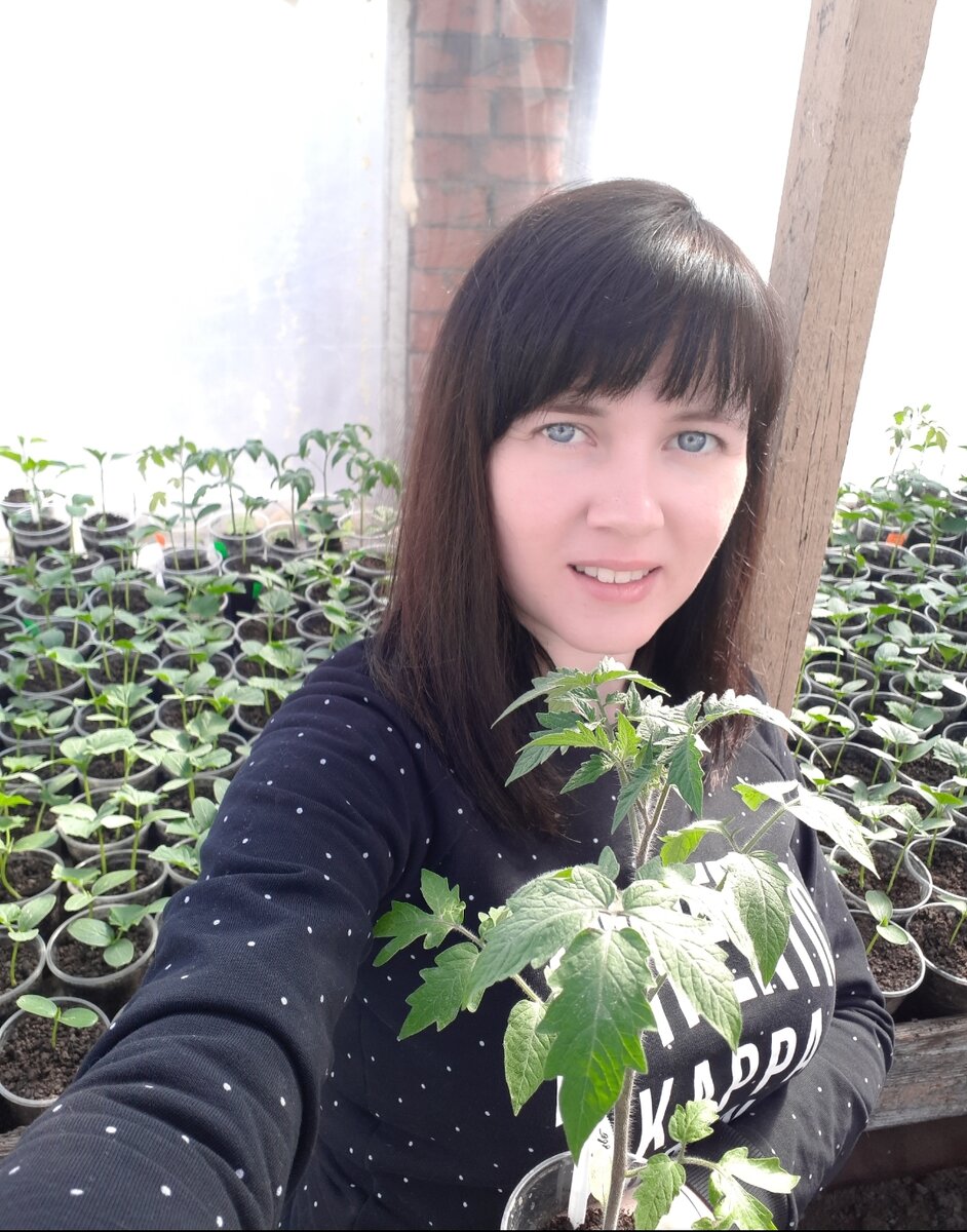 У меня в руках сорт "Яркий самоцвет" 