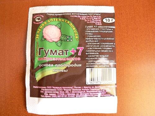 Иллюстрация kolosok.info