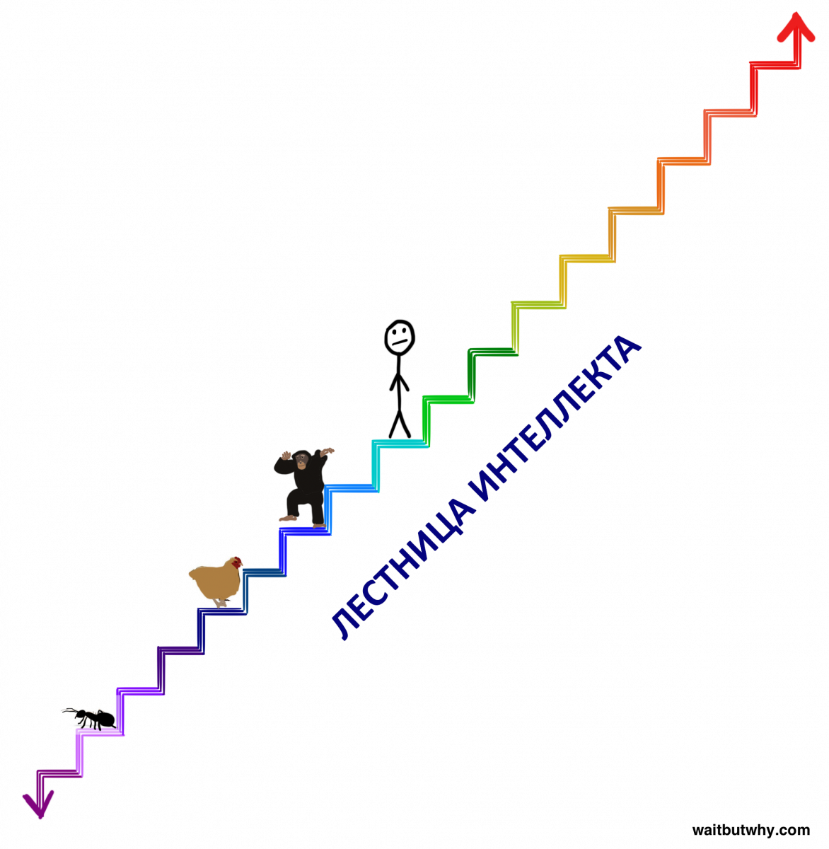 фотография из открытых источников