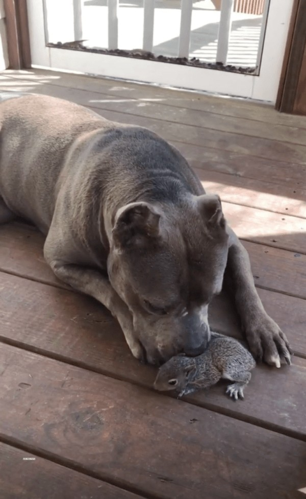 Фото: Instagram/belleandbev