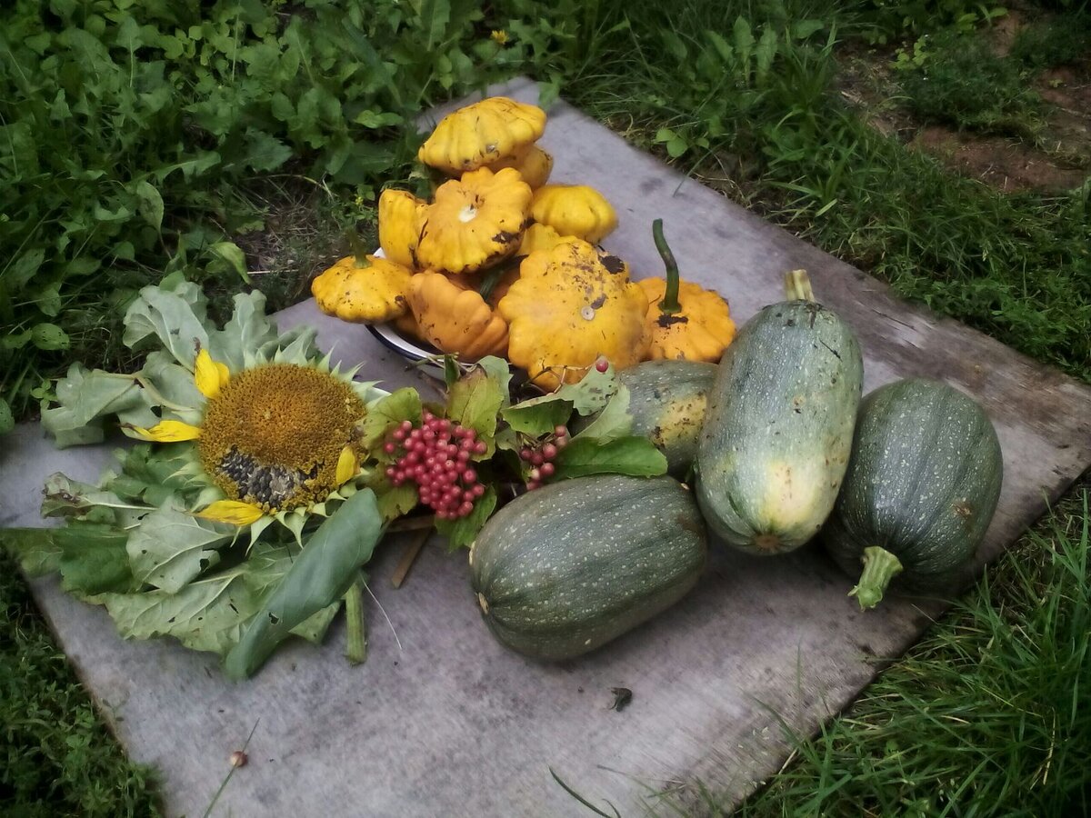 А ведь действительно-протяни руку и вот оно,  безотказное средство от выпадения волос - крапива или безотказное средство для похудения - листья березы. Сейчас самое время собирать.