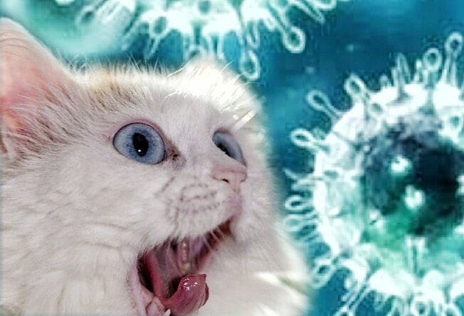 Опасный вирус