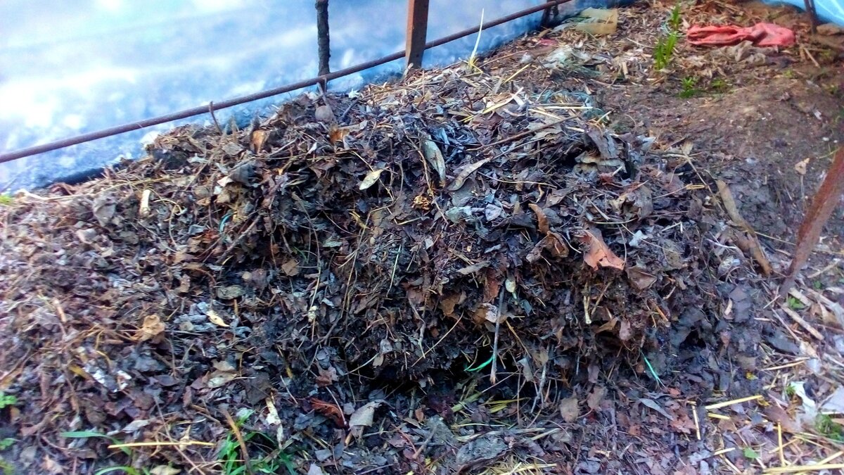 Оставшаяся листва вытягивается из теплицы по ненадобности или если уже лежит больше года