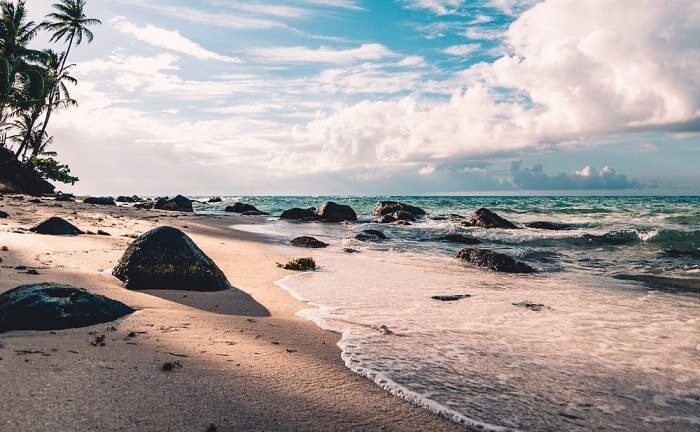 Летний аромат должен включать запахи, которые мы ассоциируем с сезоном. Цитрусовые, океанические и острые ароматы идеальны. Некоторые ароматы даже содержат ноты кокоса и рома.
