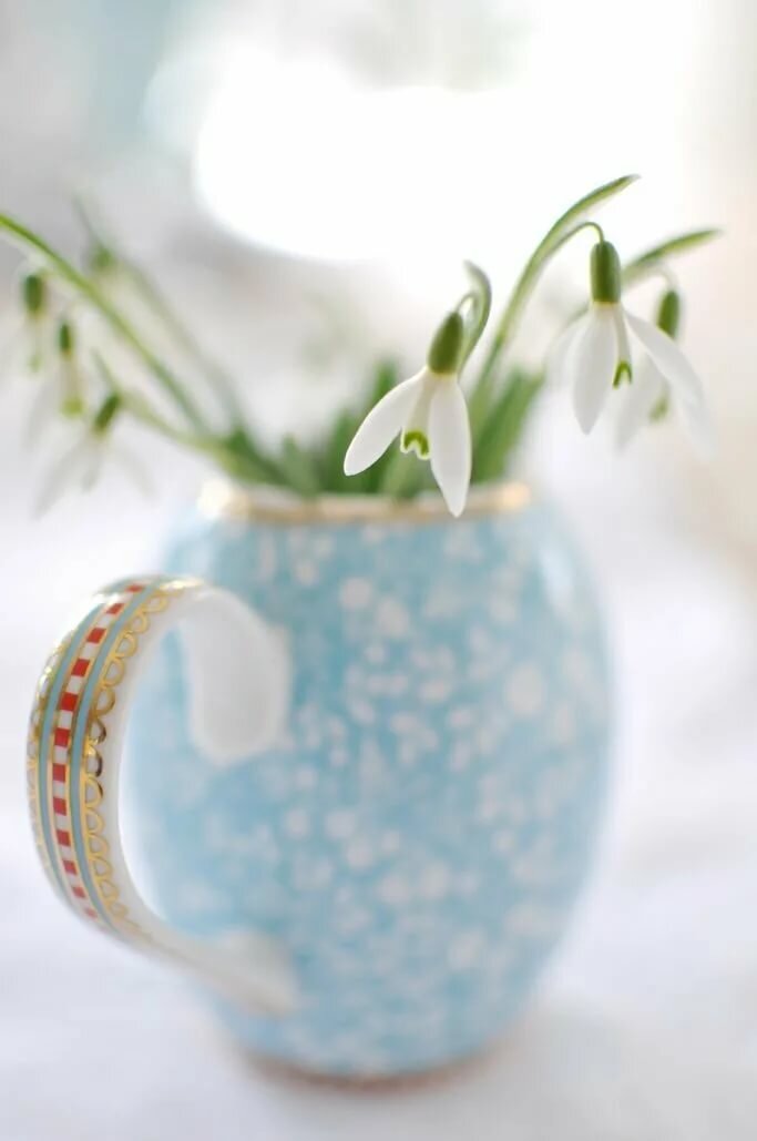 Взято из открытых источников в интернете