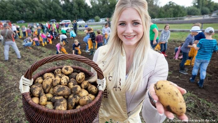 Сегодня эко-продукты становятся все популярнее.  