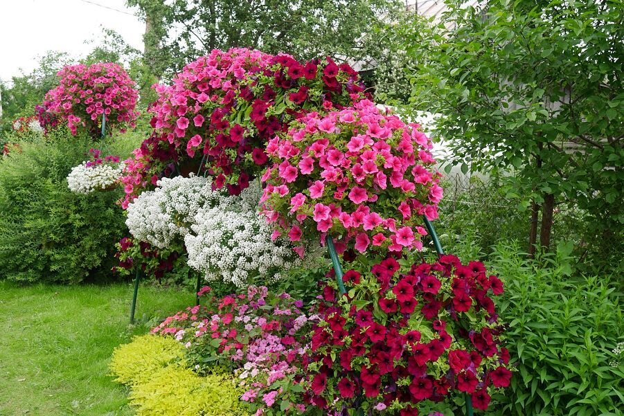 Цветы от Марины Zacvetet