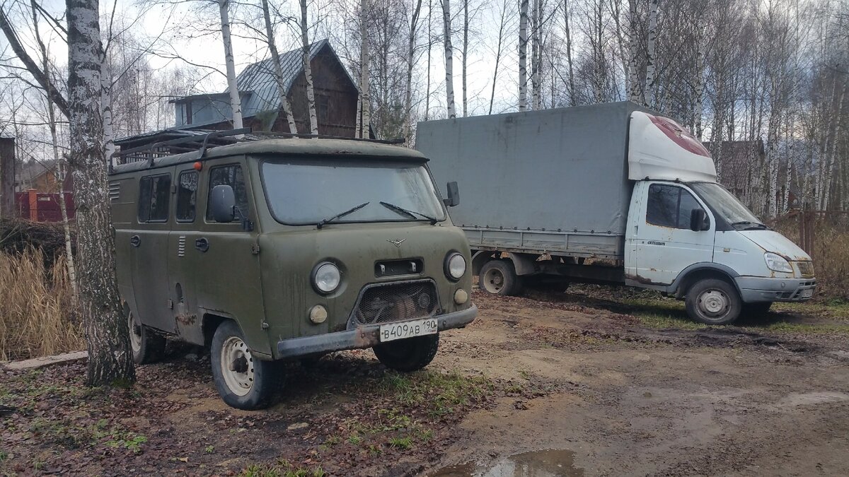 Два рабочих коня