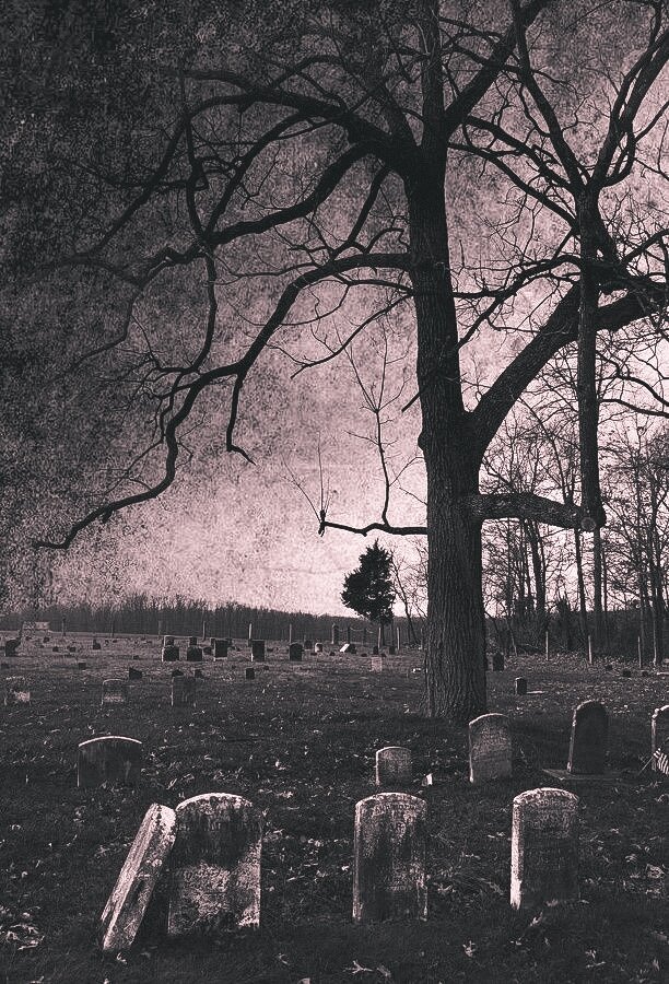 Как-то все улеглось, работать надо вышли на работу. И тут снова история какая-то...