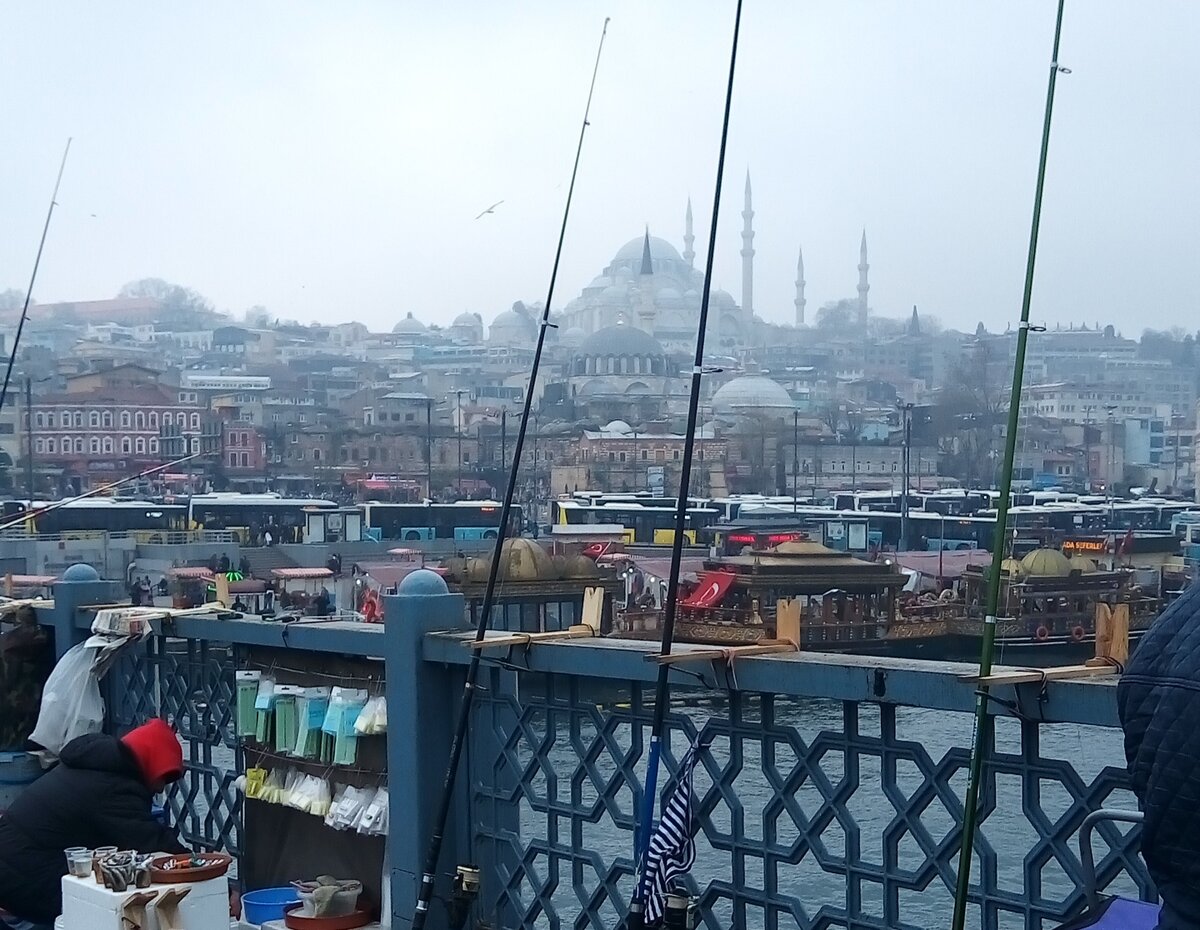 Вид на город с Галатского моста. 